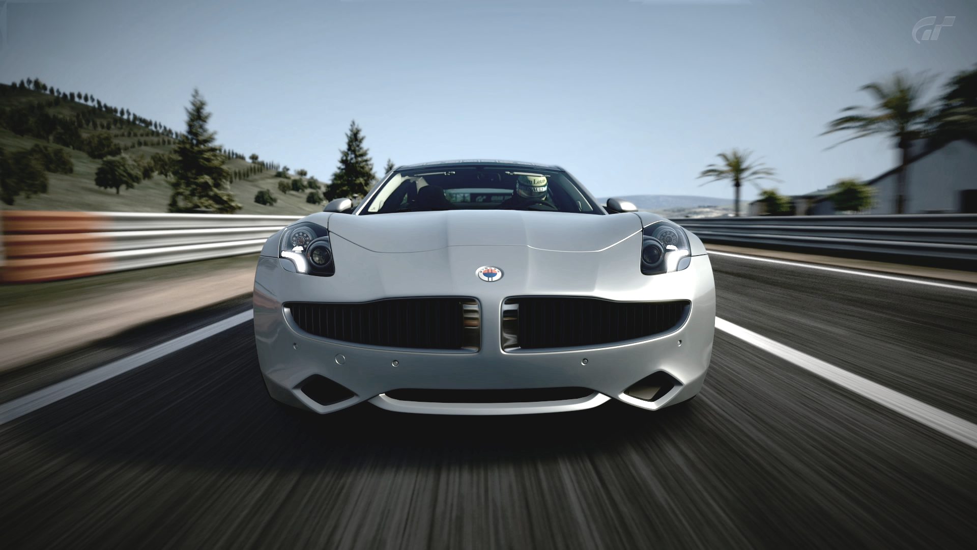 fisker low saturation.jpeg