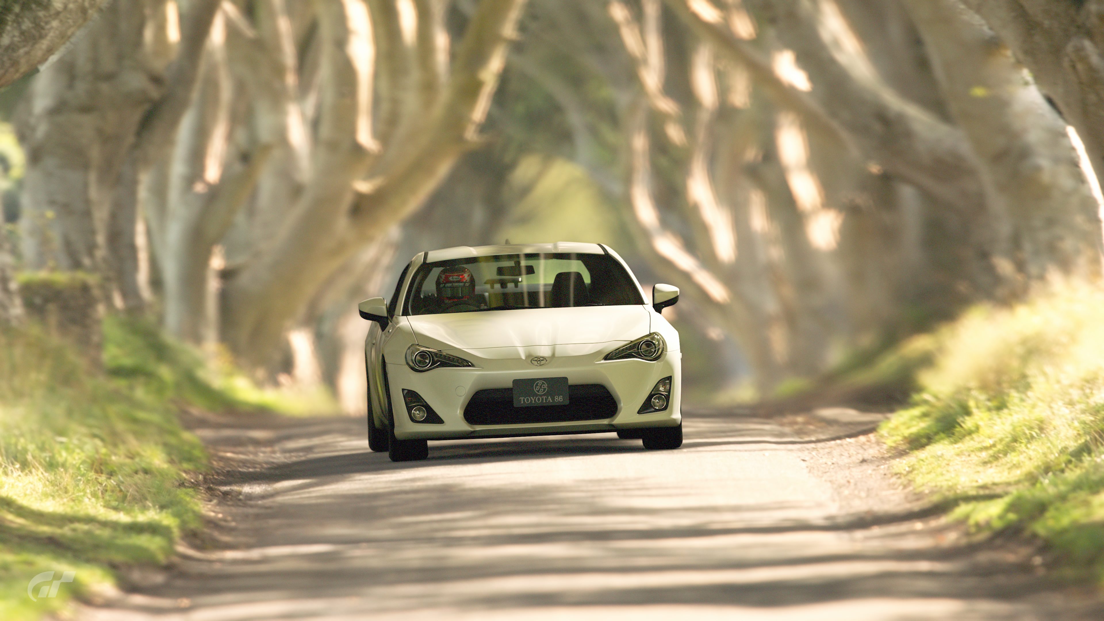 FRS Tree Tunnel