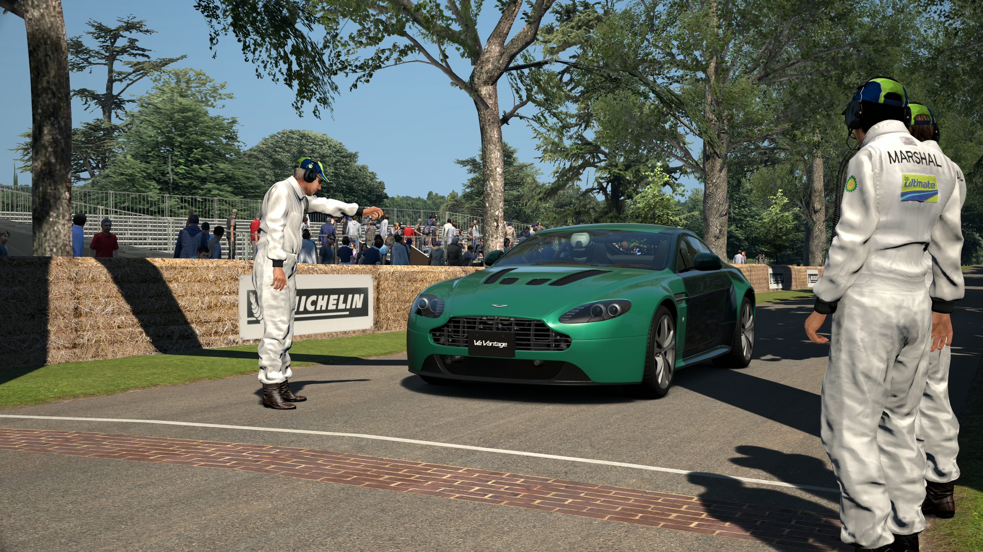 Goodwood Hillclimb 2014_1.jpg