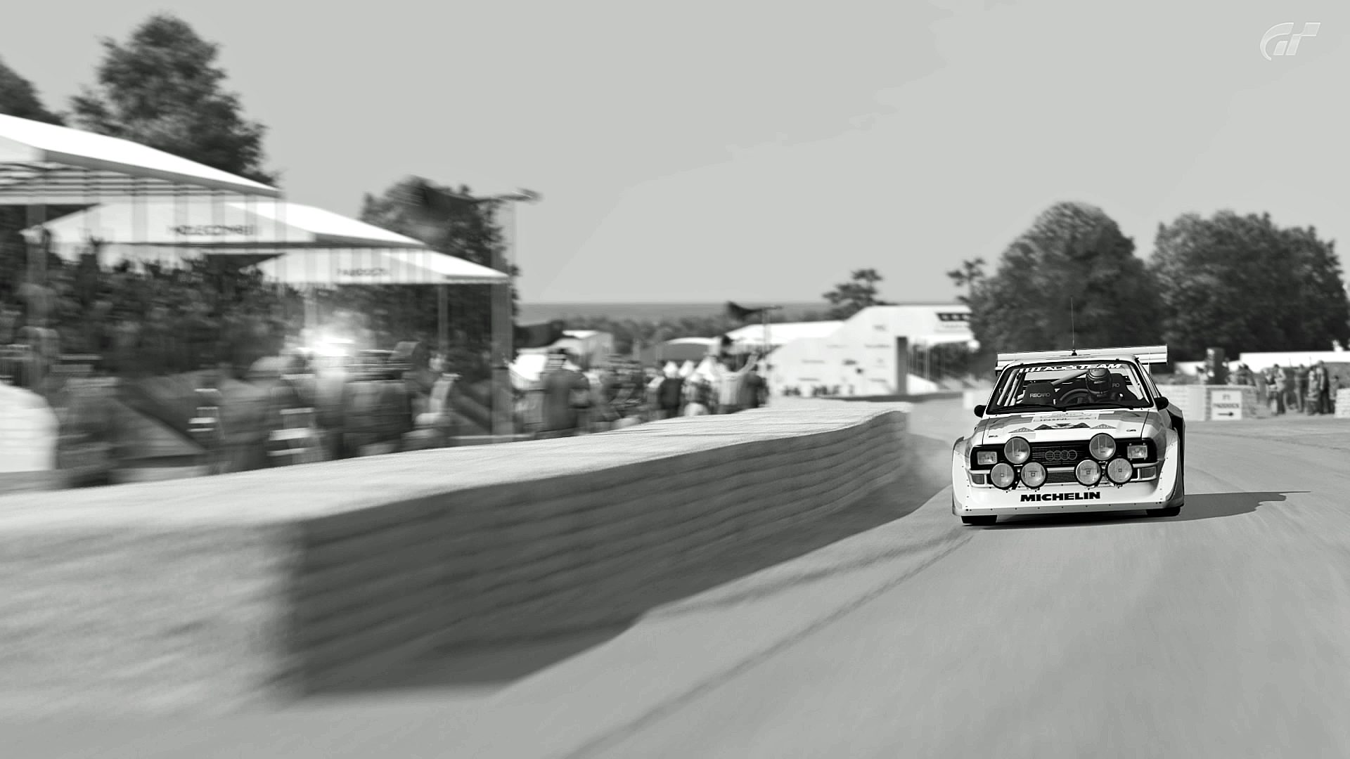 Goodwood Hillclimb 2014_11.jpg