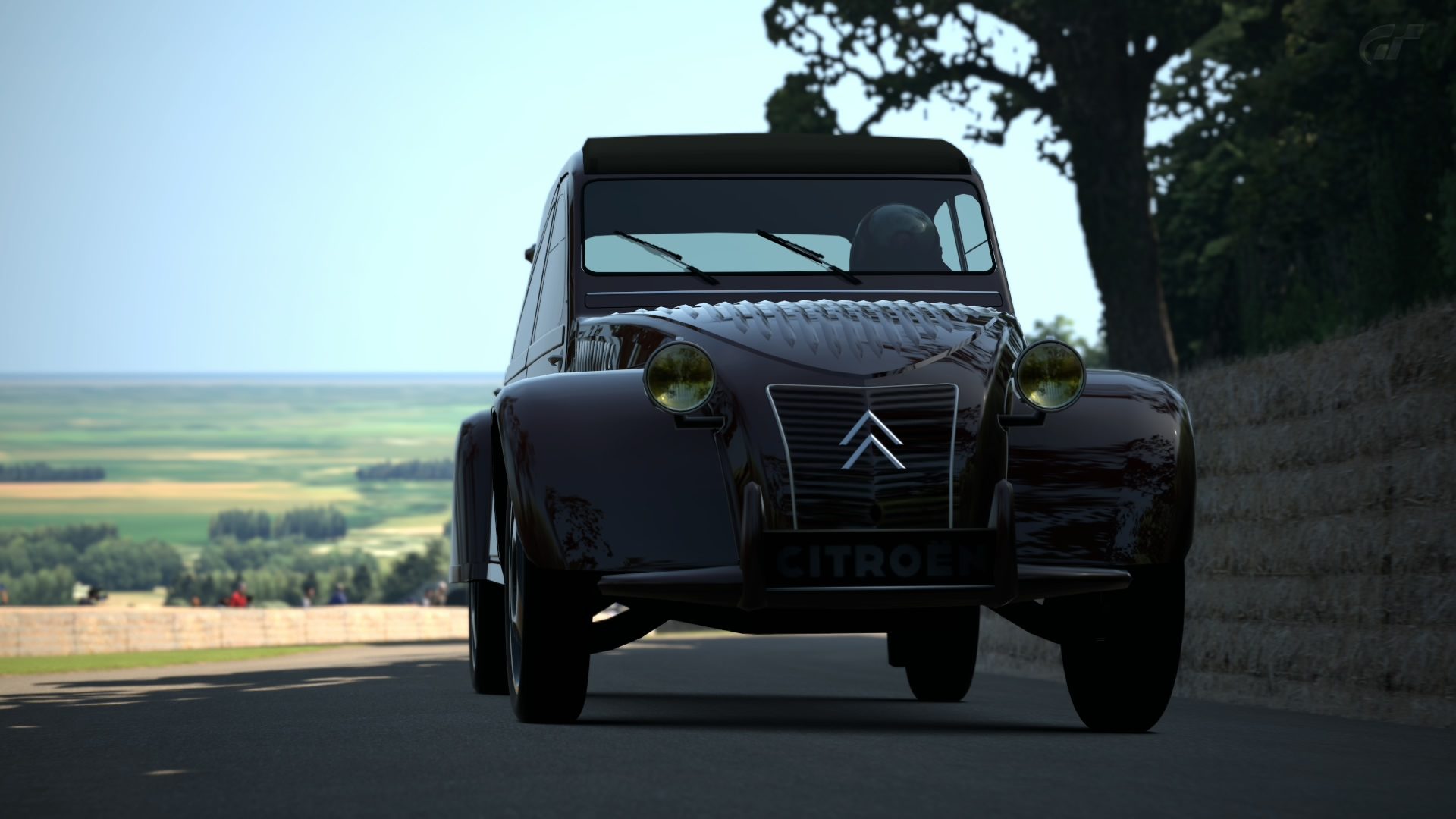 Goodwood Hillclimb 2CV 8.jpg