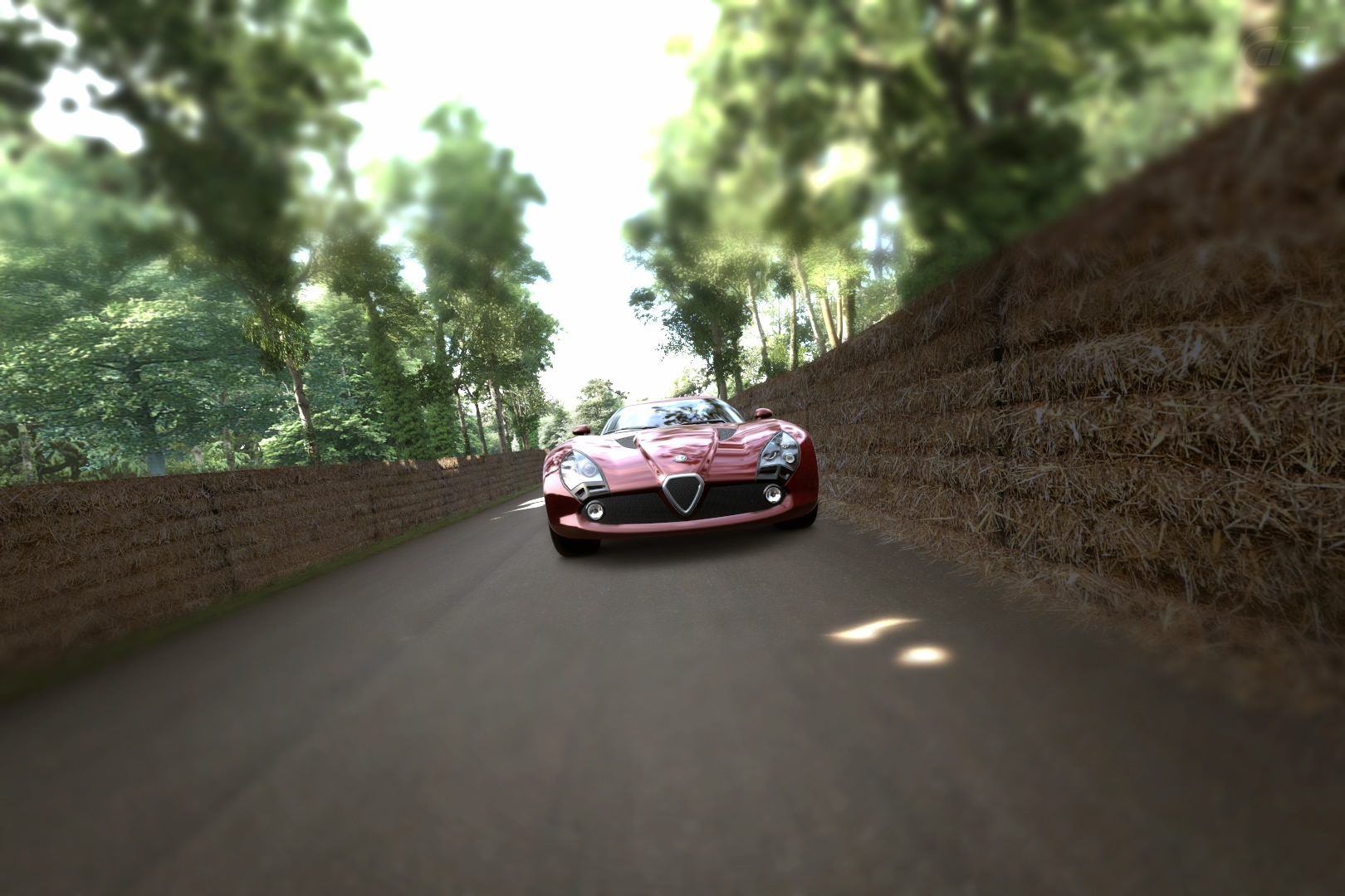 Goodwood Hillclimb.jpg