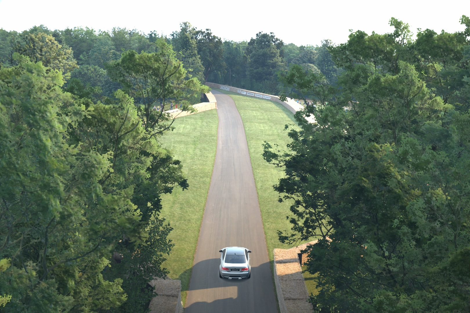 Goodwood Hillclimb_14.jpg