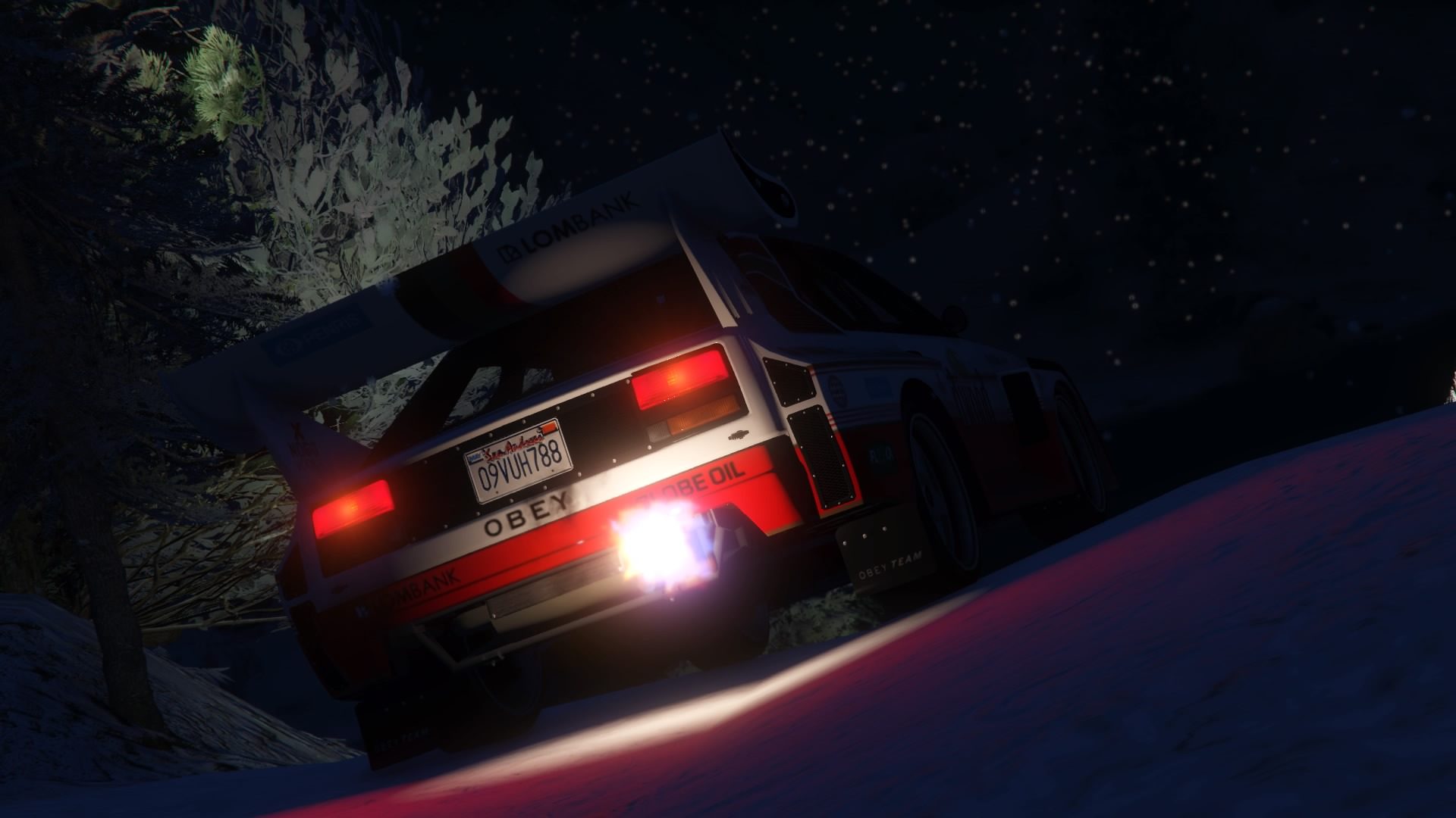 Grand Theft Auto V - Rallying In The Snow - 44