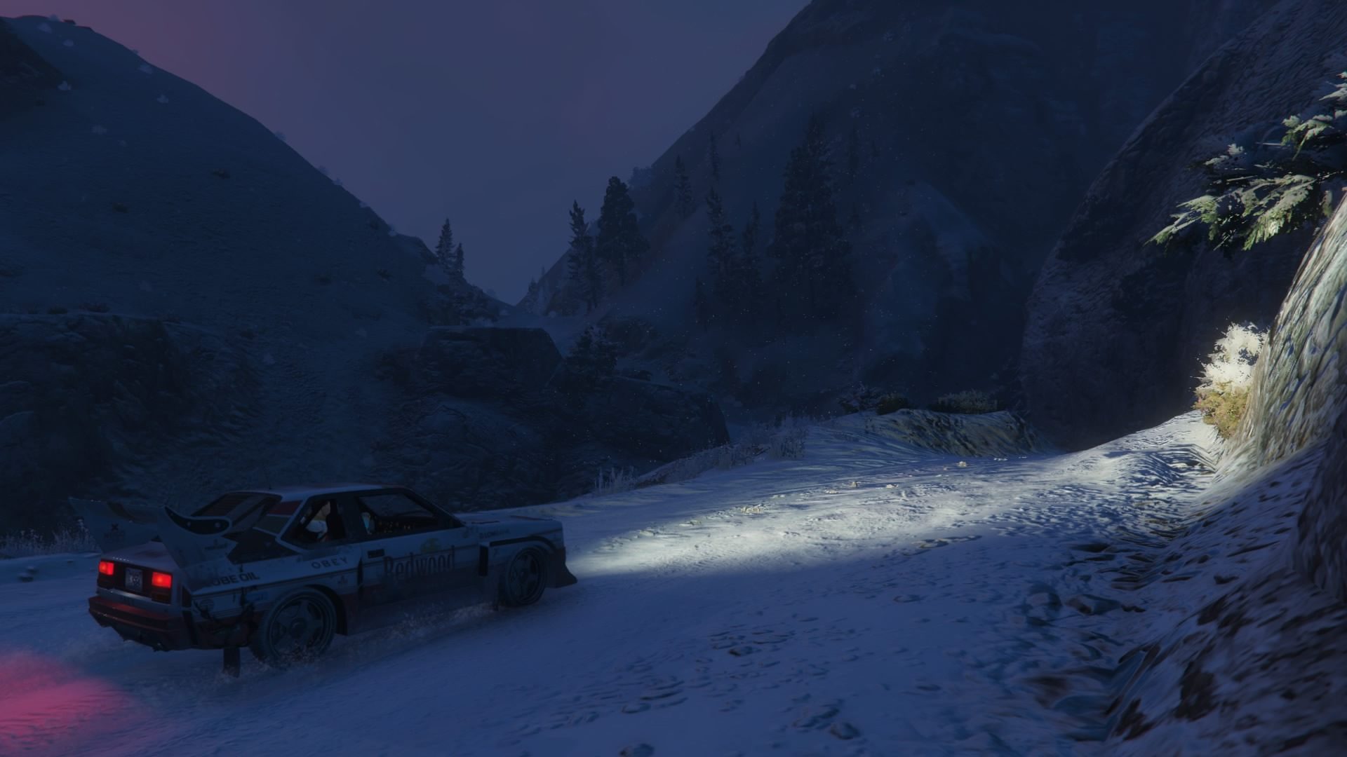 Grand Theft Auto V - Rallying In The Snow - 57