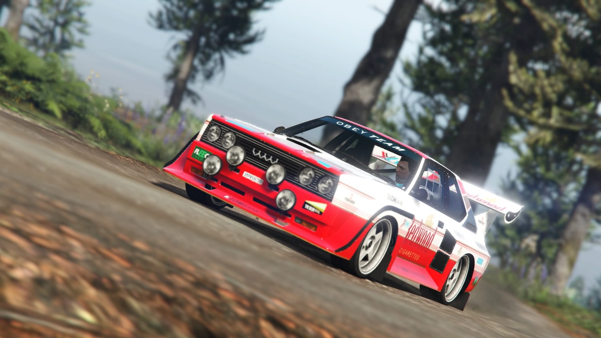 Grand Theft Auto V - The Great Rally Car Showdown