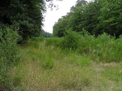 Hockenheim straight (abandoned layout)