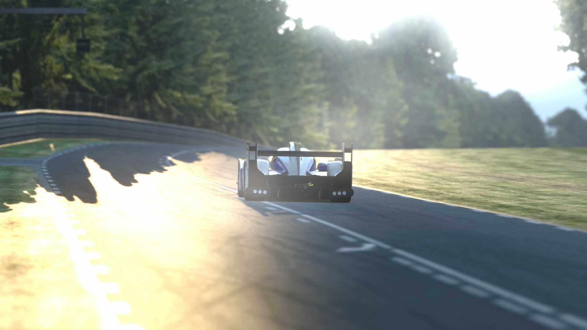 Le Mans Toyota TS030 6.jpg