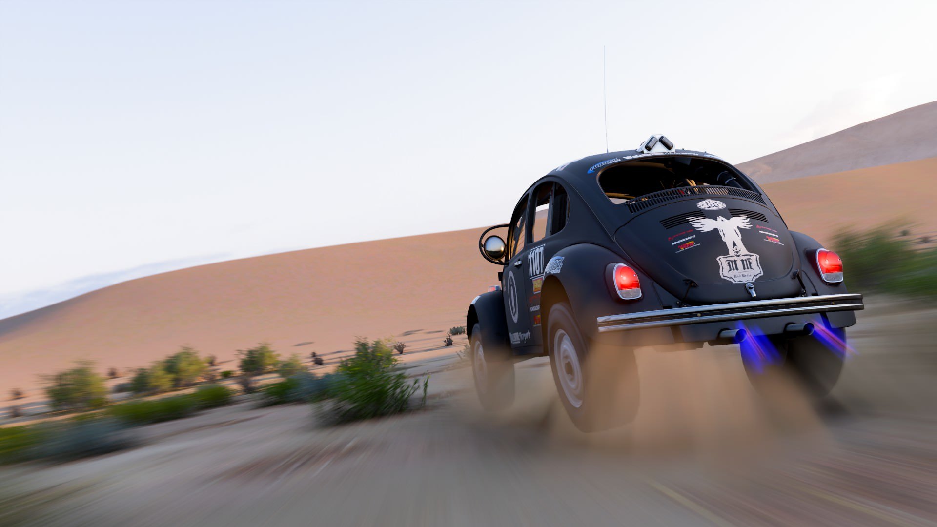 Look out for beetles in the dunes