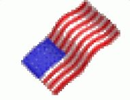 Low-Res Murican' Flag.