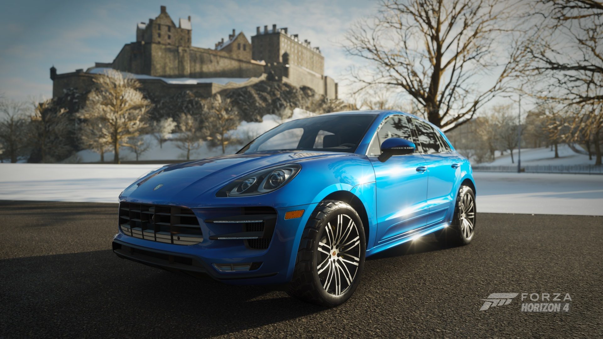 Macan 16