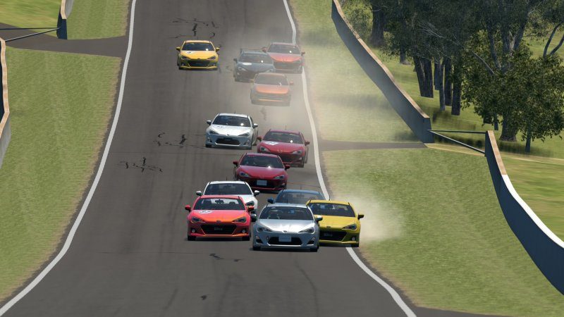 Mount Panorama Motor Racing Circuit_1 (3).jpg