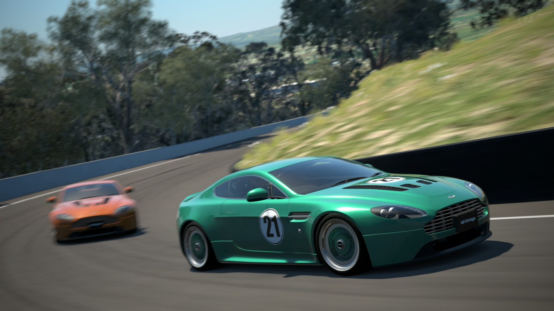 Mount Panorama Motor Racing Circuit_3