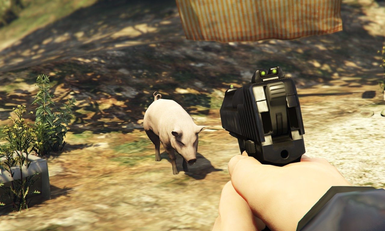 Murph the effing baconholic finds a pig 2