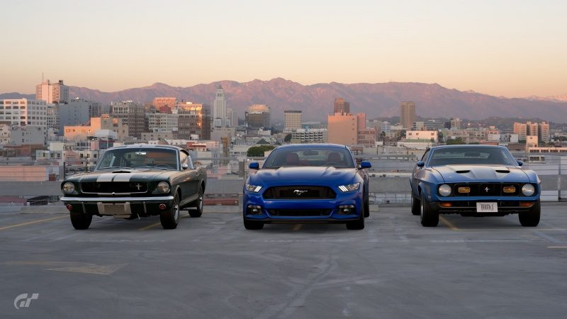 Mustangs in city outskirts.jpg