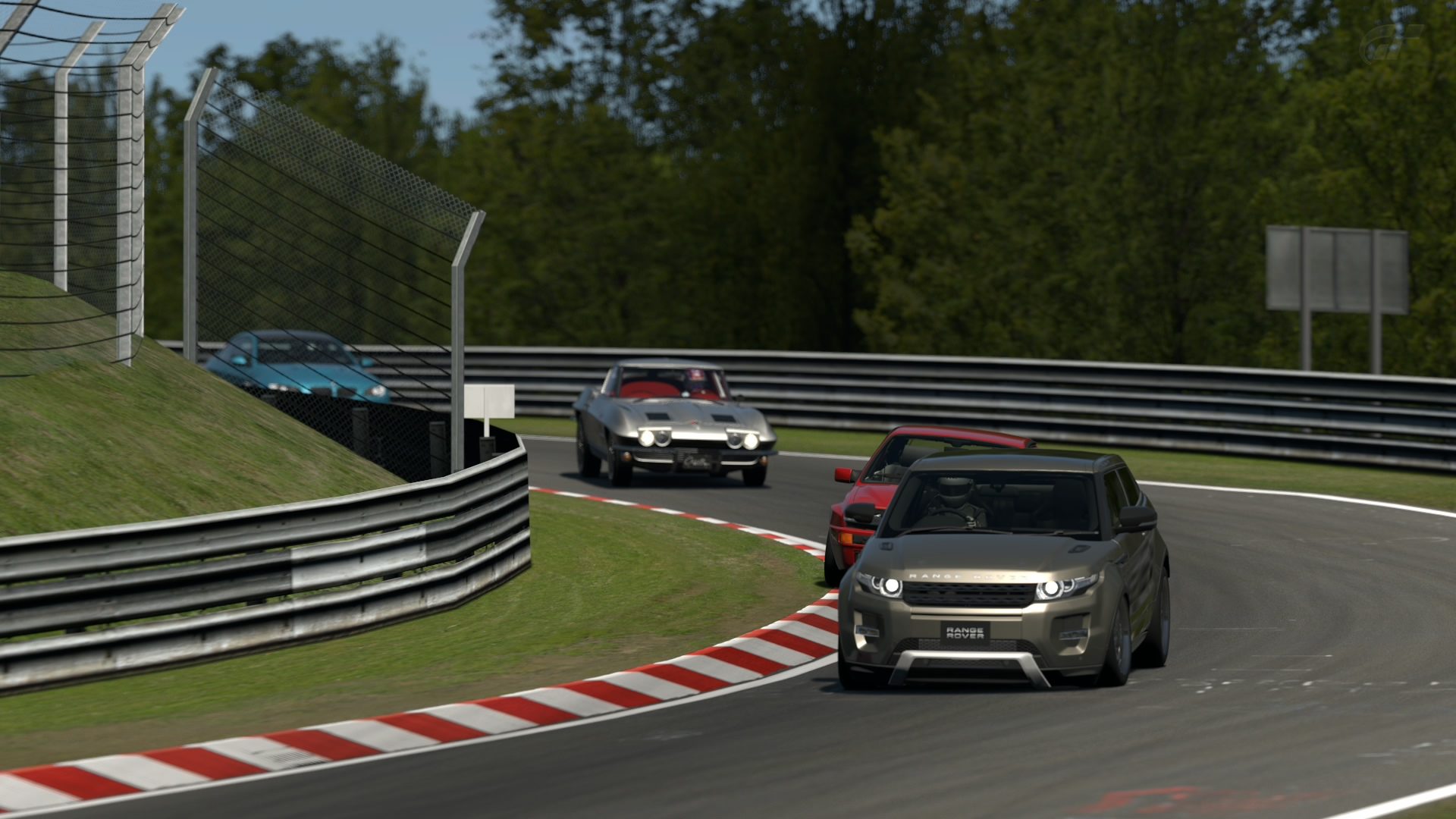 Nürburgring Nordschleife_13.jpg