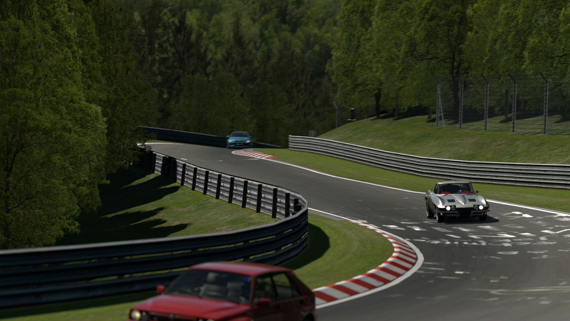 Nürburgring Nordschleife_7.jpg