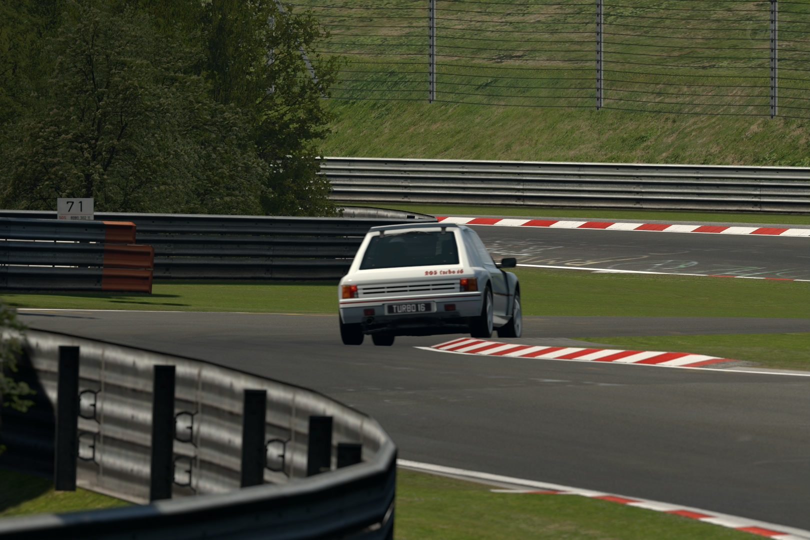 Nürburgring Nordschleife__16.jpg