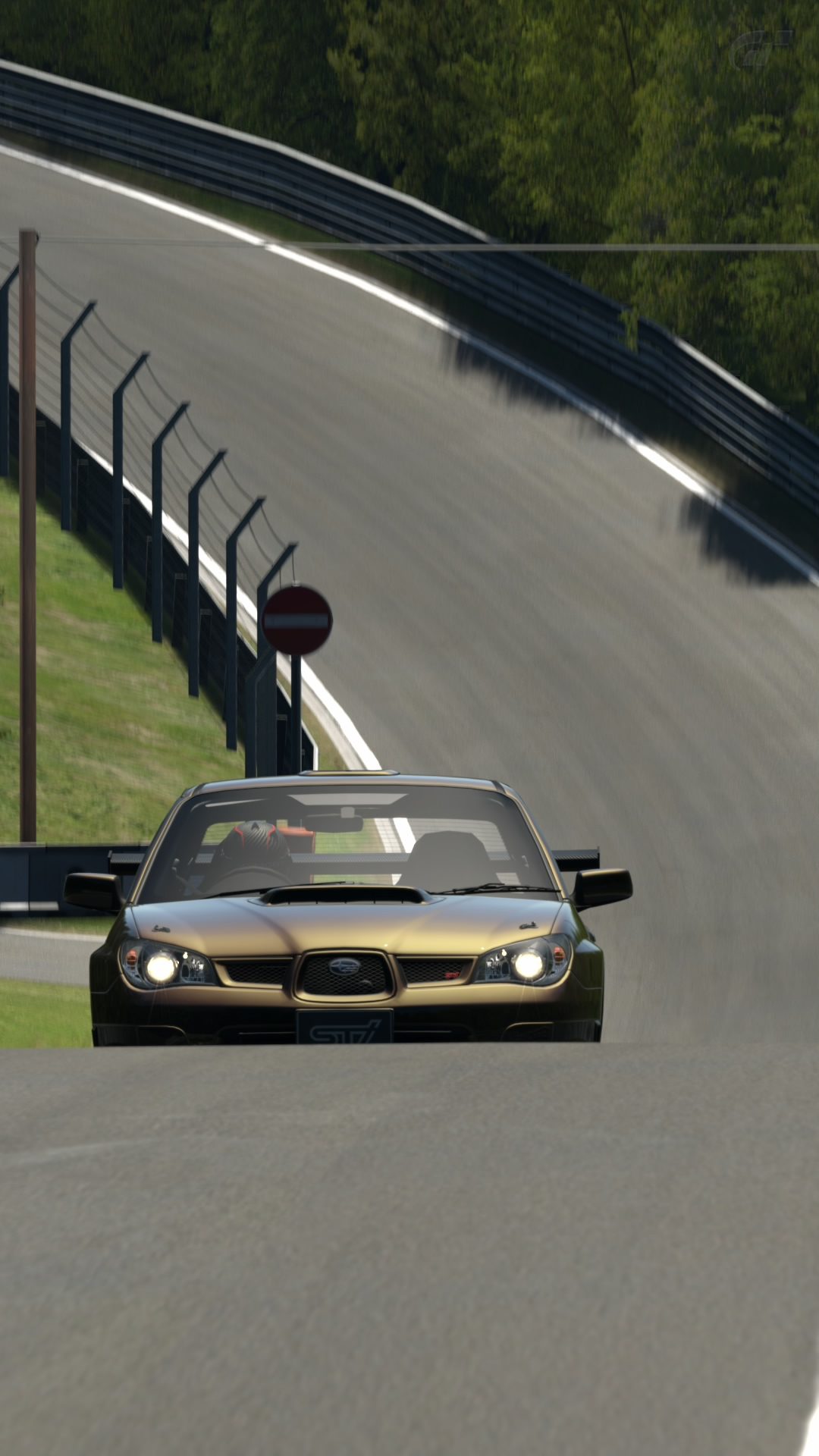 Nürburgring Nordschleife__5.jpg