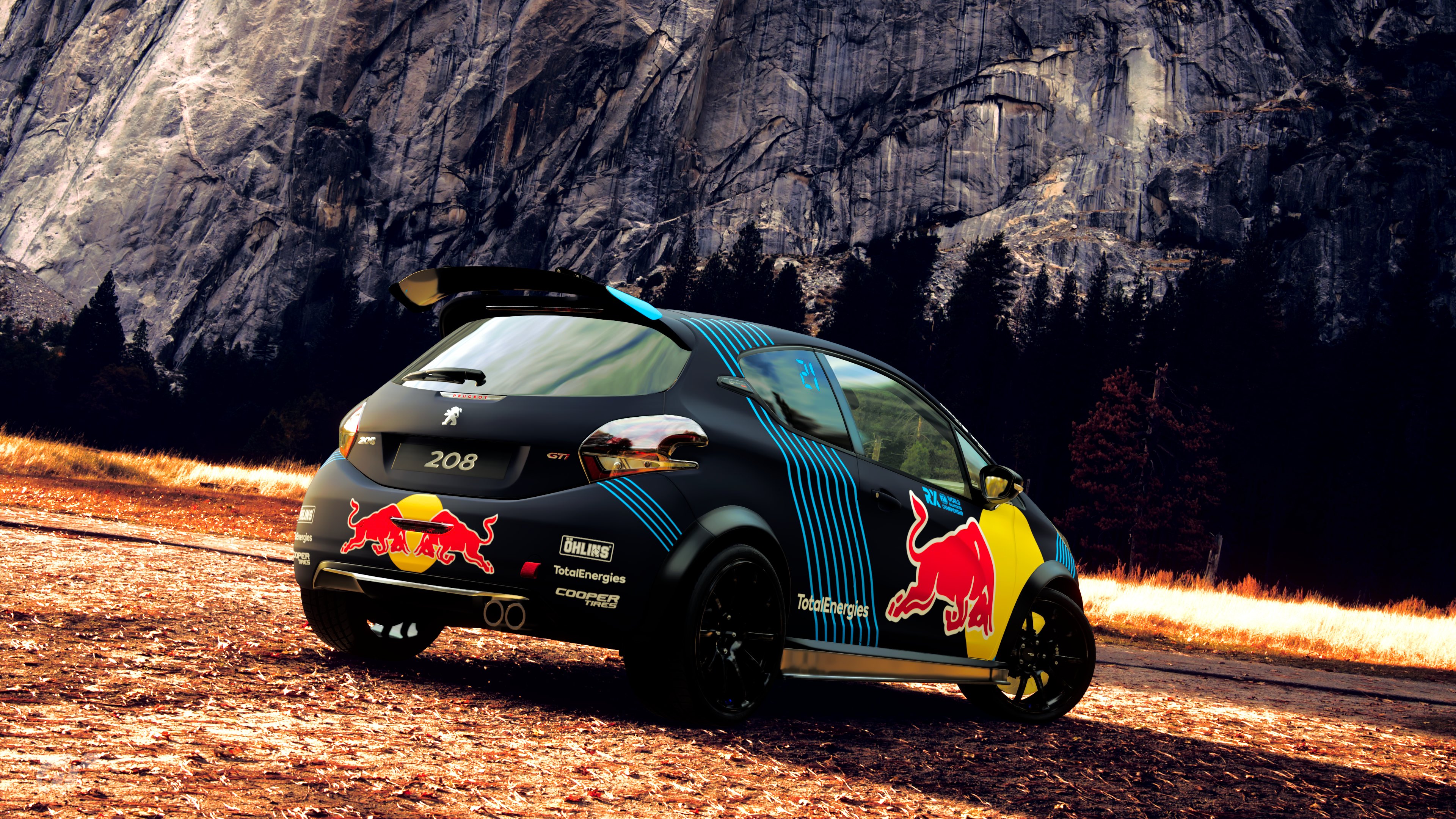 Red Bull Peugeot 208 Rallycross 3.jpg