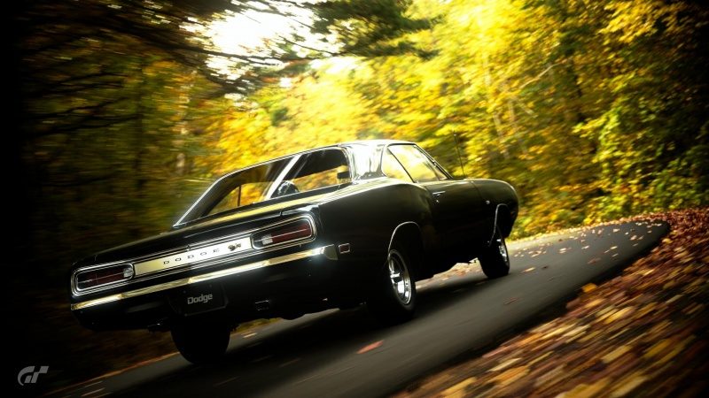 Super Bee & Nature.jpg