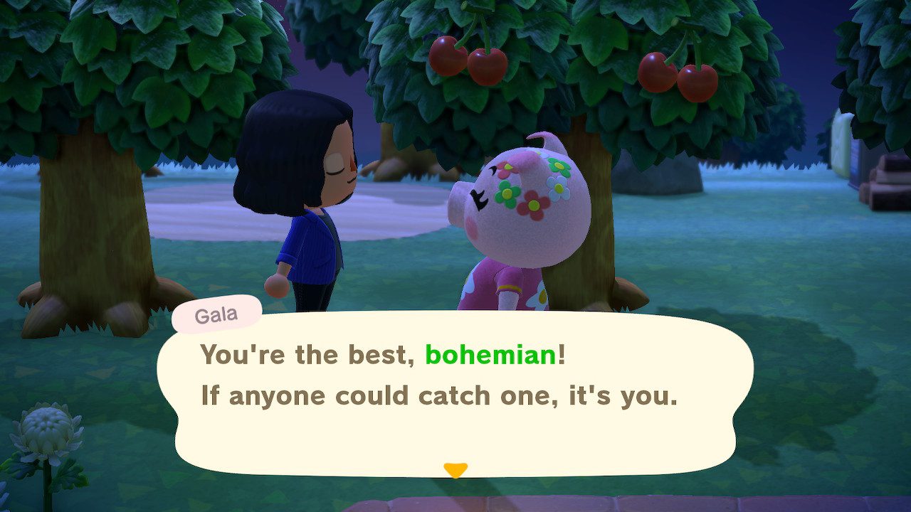 Sure, toots. You can count on Bohemian