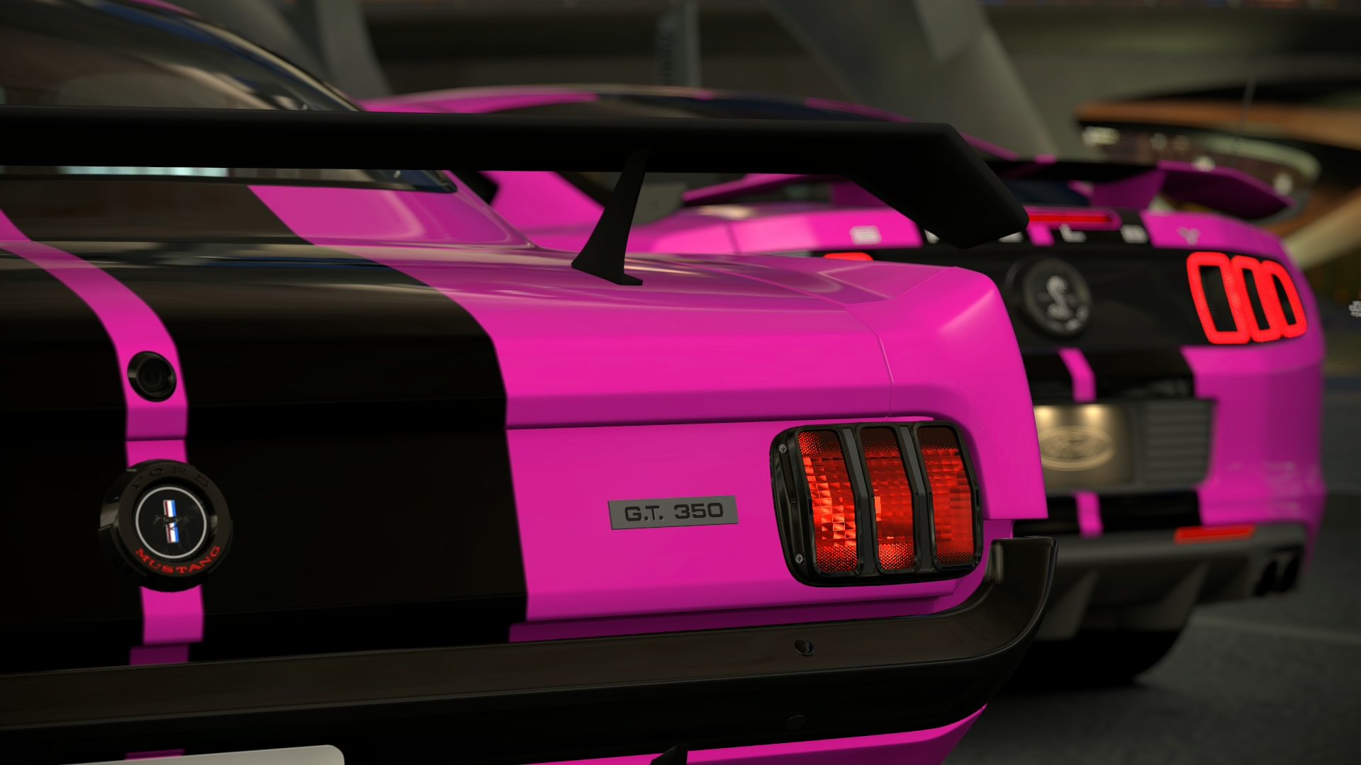 Suzy's Stangs_1.jpg