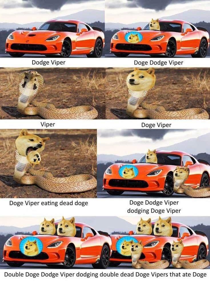 What happens when you put the Dodge Viper, Doge and a sand viper together