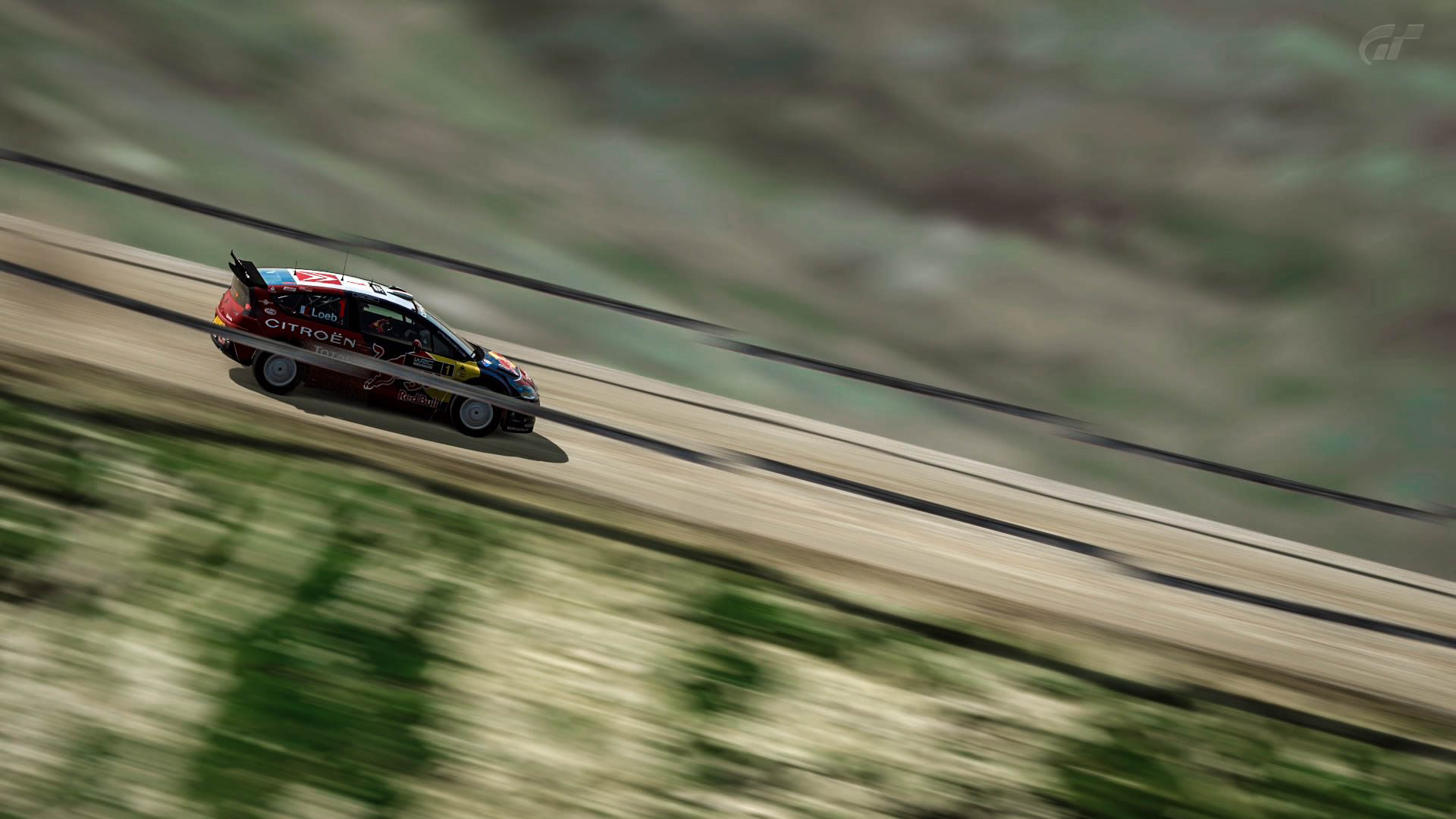 WRC_GT6_15.jpg