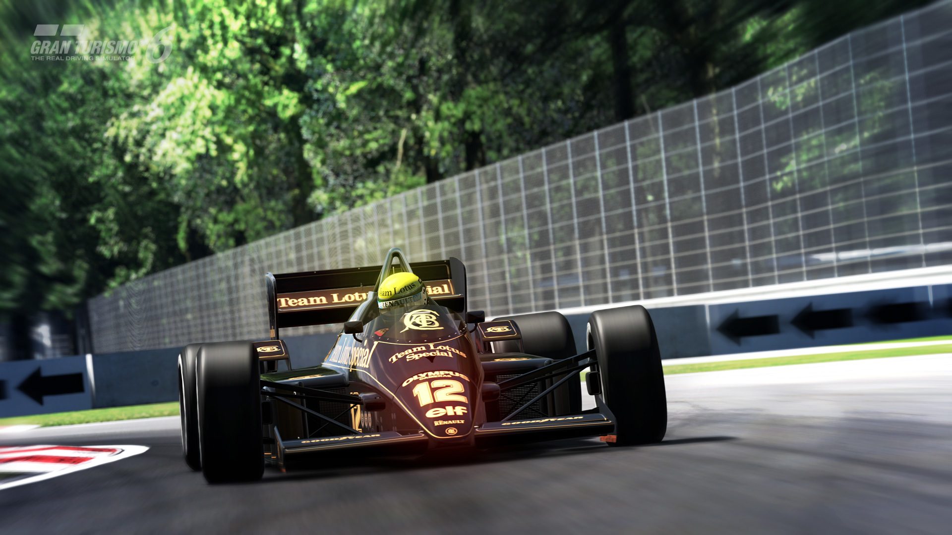 Ayrton Senna Online