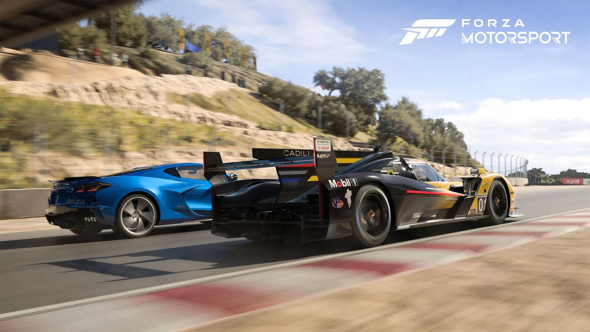 Forza Motorsport 8 Not In Development, New Tracks and Expansions Coming to  Forza 7 — The Nobeds